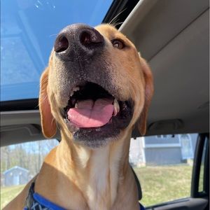 Meet your Posher, Tracy